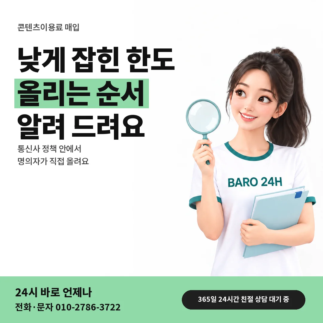 BARO 24H 티셔츠를 입은 3D 인물 옆에 「한도 올리는 방법」 제목을 얹은 안내 카드