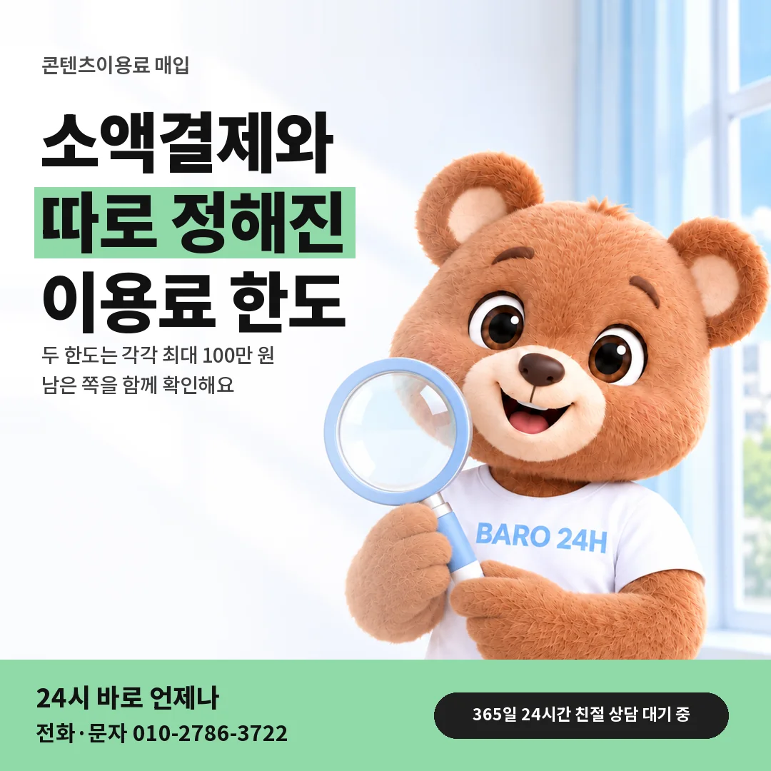 돋보기를 든 BARO 24H 티셔츠를 입은 3D 곰 캐릭터 옆에 「소액결제 한도와 따로인 한도」 제목을 얹은 안내 카드